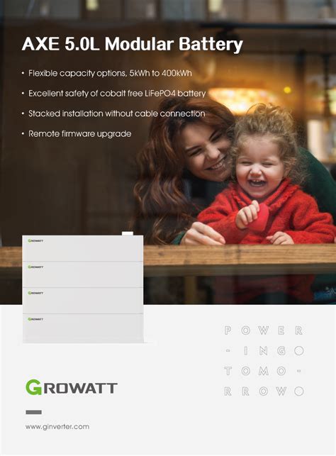 growatt cobalt free battery.